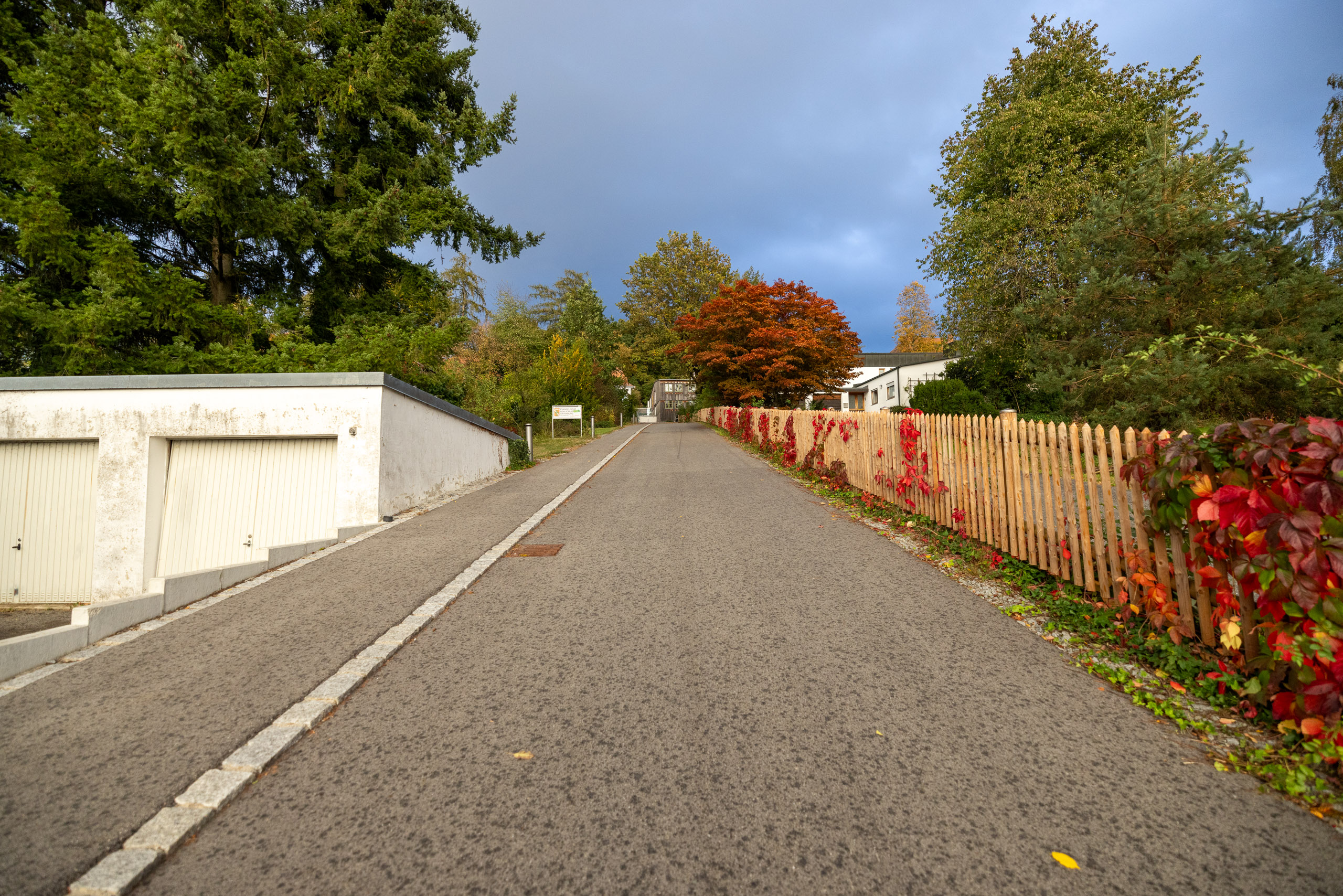 20231014174348 R5D 4245